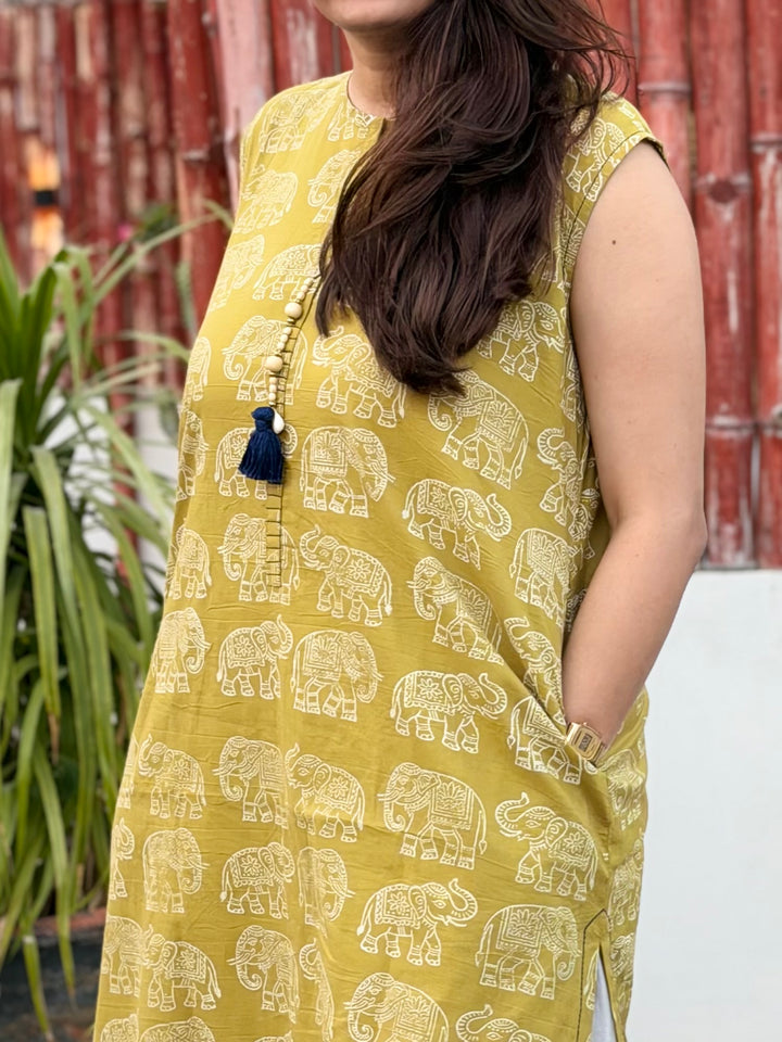 HathGhar-Kurta HG54