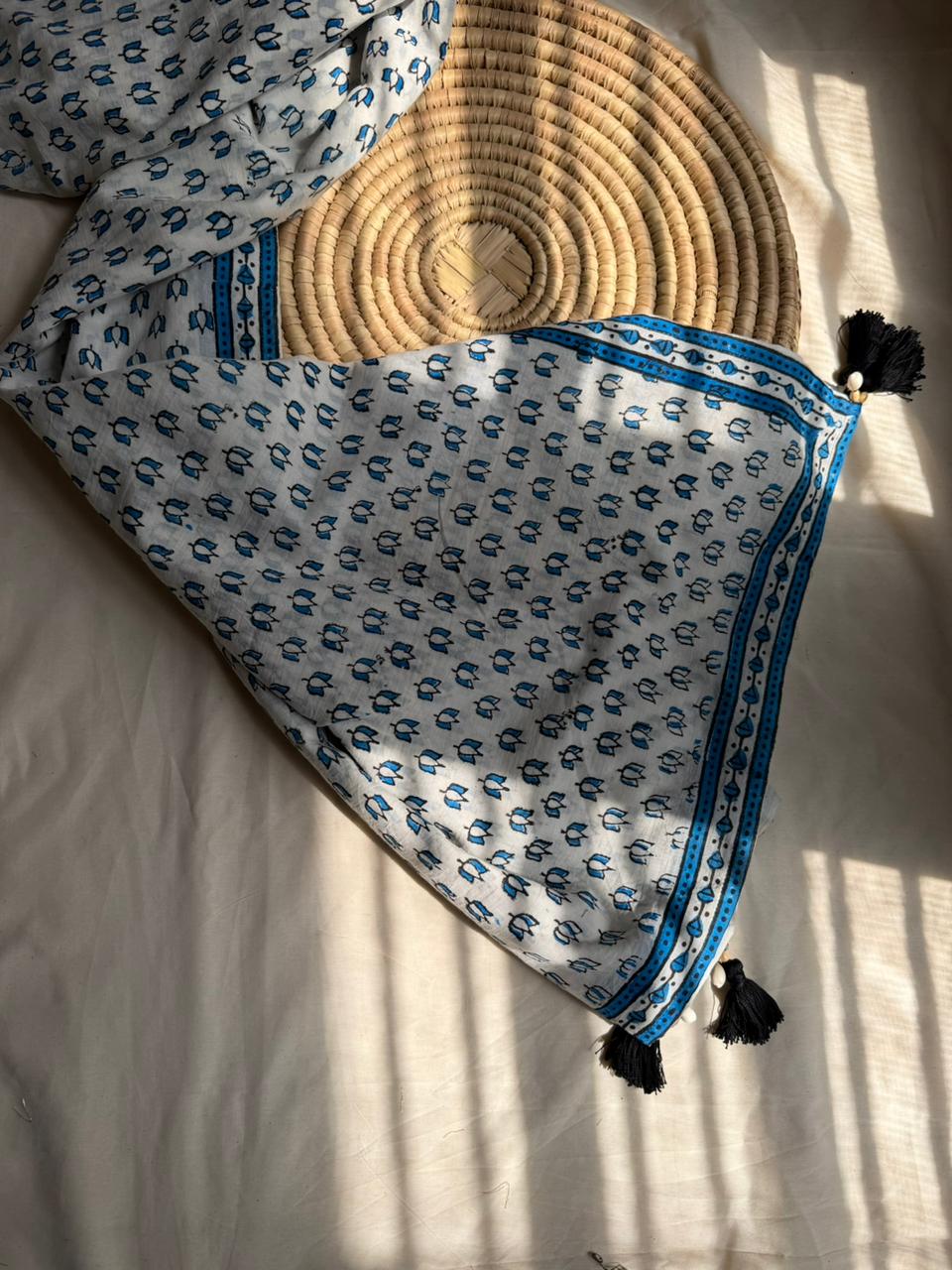 HathGhar-Dupatta HG18
